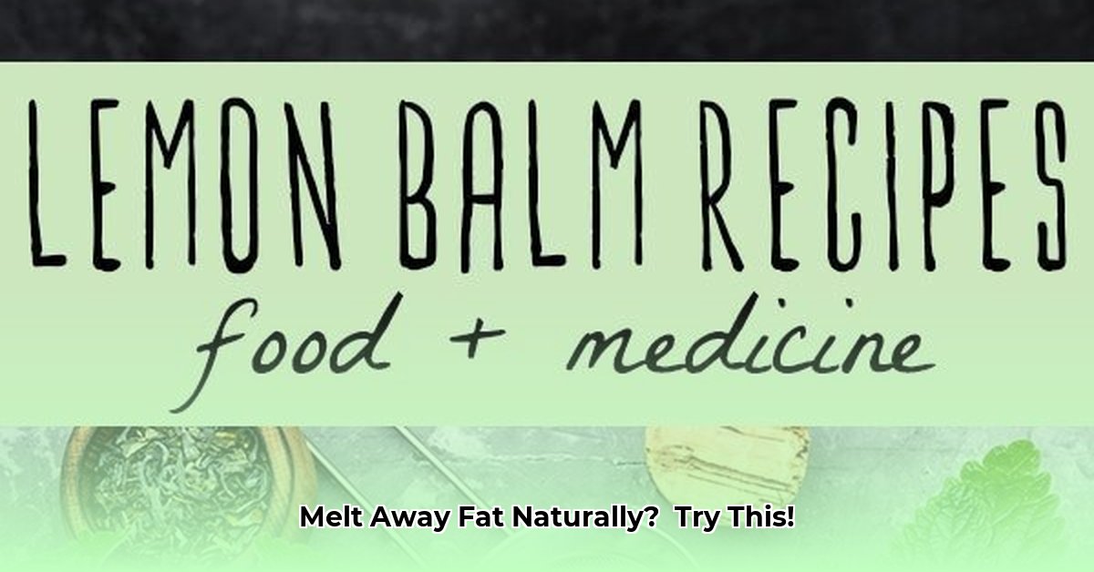 lemon-balm-weight-loss-drink-recipe